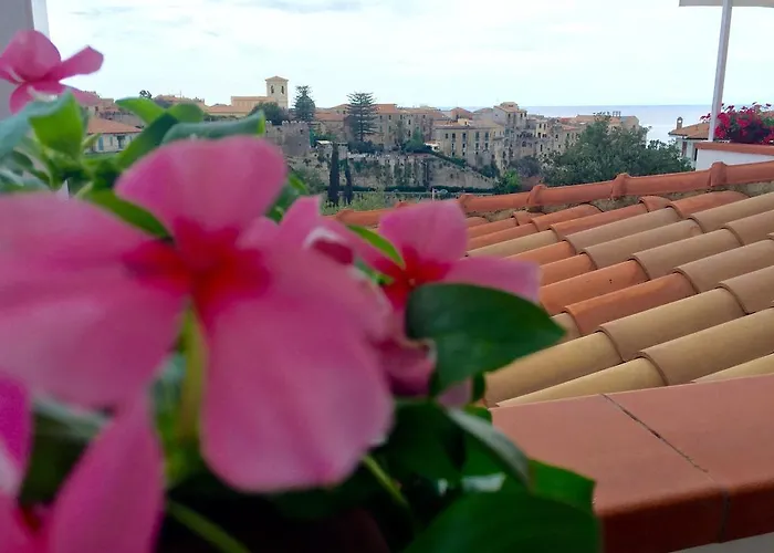 Il Barone - Free Private Parking 4*